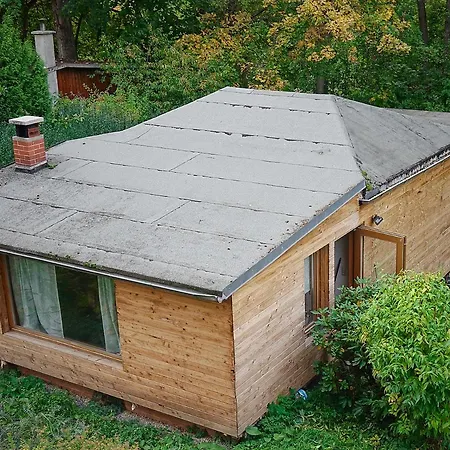 Holzbungalow Wilma Mit Garten * Wernigerode